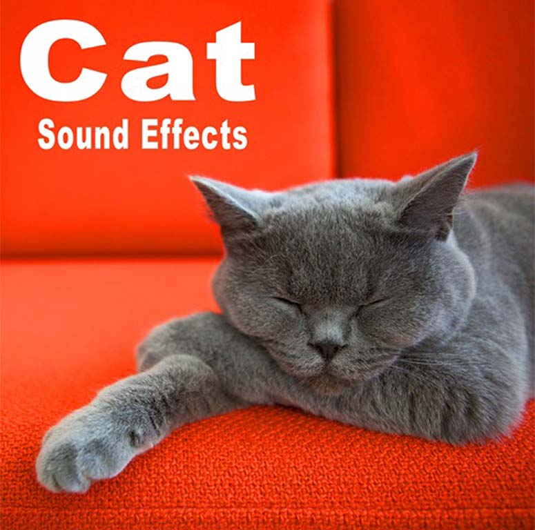 The Hollywood Edge Sound Effects Library Cat Sound Effects