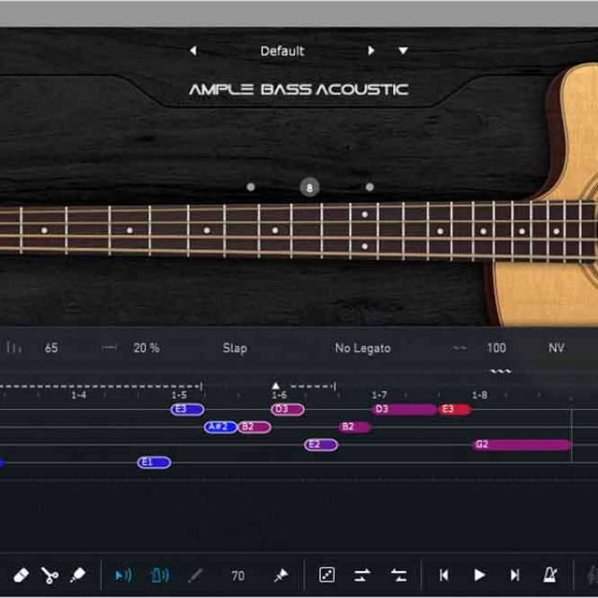 Ample Sound Ample Bass Acoustic v3.3.0 [WiN-OSX]