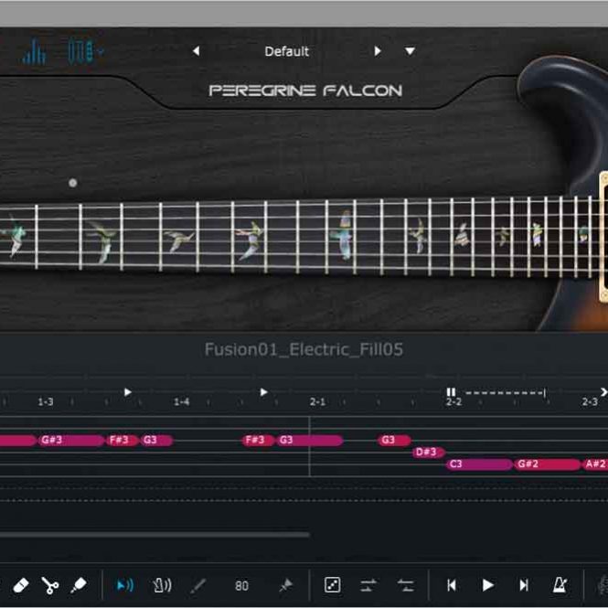 Ample Sound Ample Guitar PF v3.2.0 [WiN-OSX]
