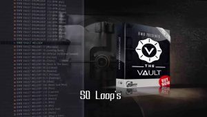 Publisher: Bigwhite Beatz Product: THE VAULT VOL 1 Formats: WAV, Kontakt, Sylenth Presets Free Download (2.75 GB)