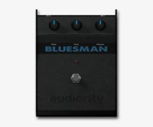Audiority The Bluesman [WiN]