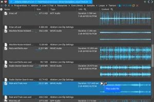 Read more about the article MusicDevelopments Fyler [WiN]