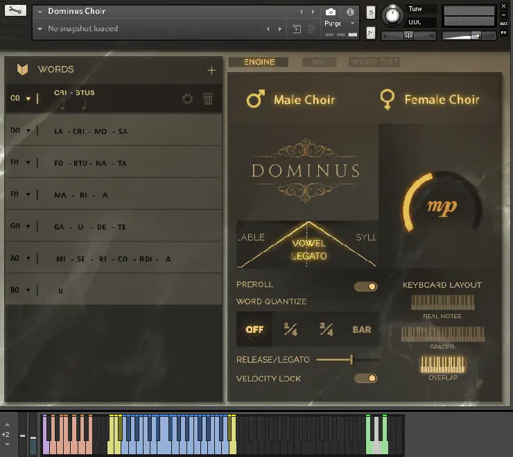 Read more about the article Fluffy Audio Dominus Choir Pro [KONTAKT]