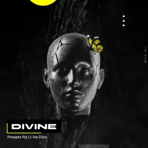 Read more about the article Melodic Techno Academy DIVINE [U-he Diva Presets]