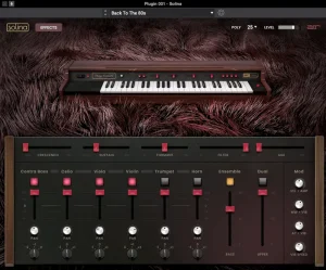 Read more about the article AIR Music Technology Solina v1.2 [WiN]