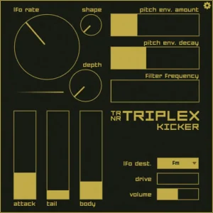 Read more about the article Ternär Music Technology Triplex Kicker [WiN]