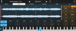 Read more about the article BLEASS Samplewiz 2 [WiN]