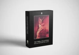 Read more about the article Echotailor The Tyrell Collection [DIVA PRESETS]