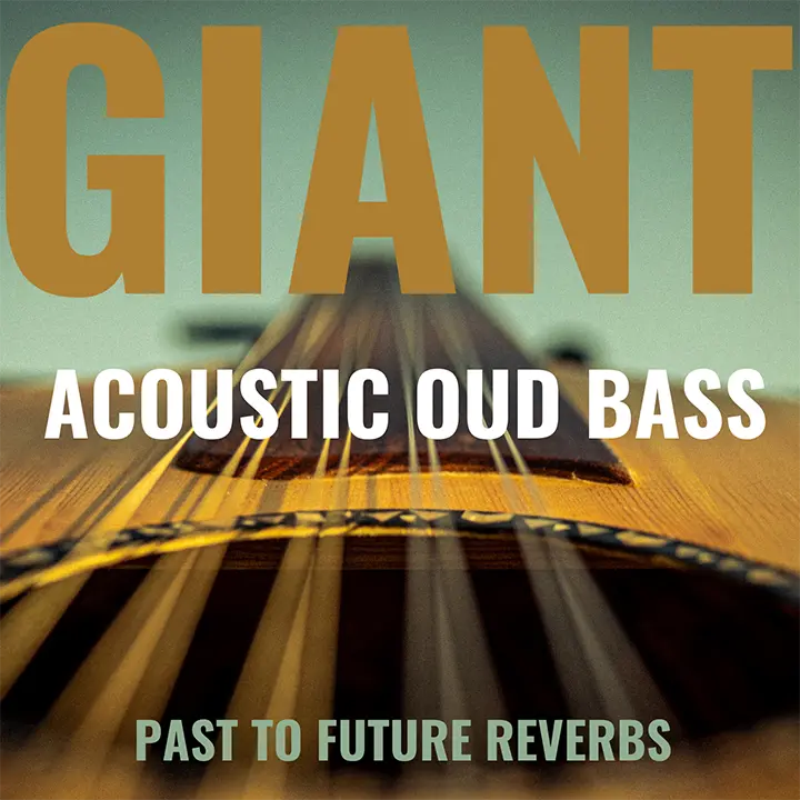 Read more about the article PastToFutureReverbs Giant Acoustic Round-Back Fretless Bass [KONTAKT-WAV]